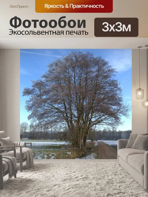 Фотообои Зима