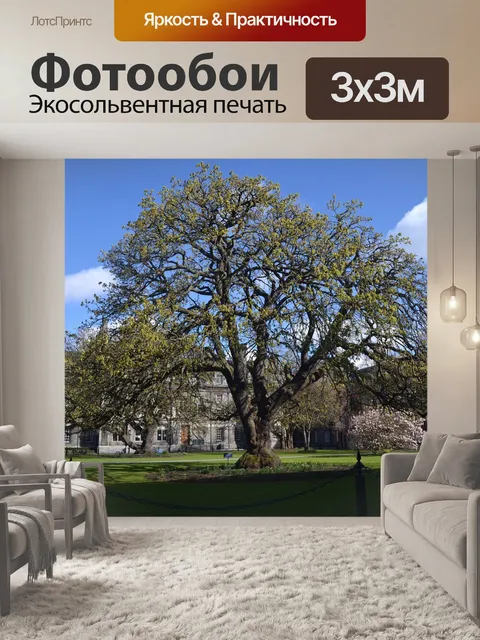 Фотообои Большое дерево
