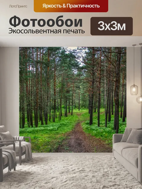 Фотообои Лес