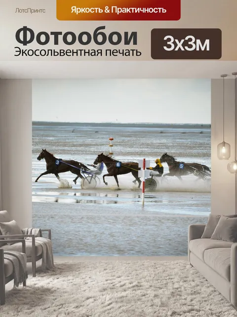 Фотообои Лошади