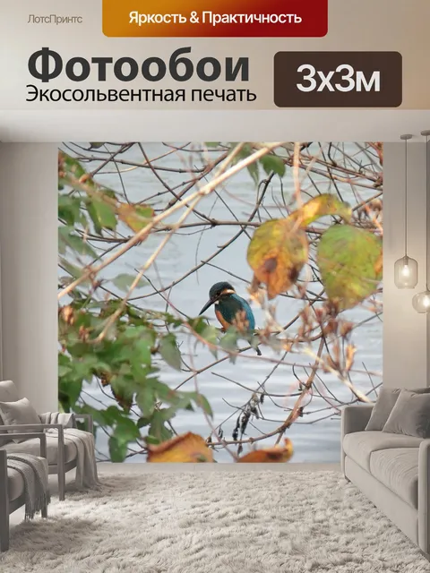 Фотообои Животное