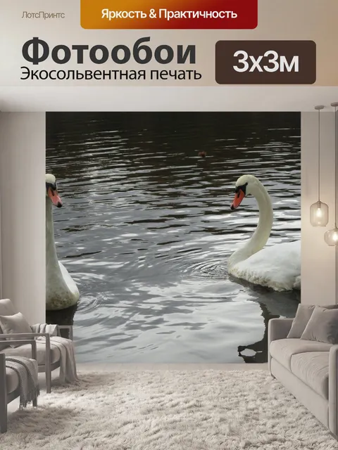 Фотообои Лебедь