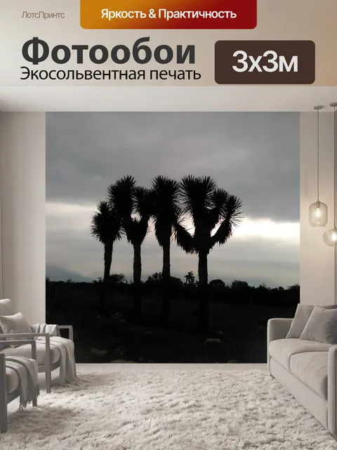 Фотообои Закат над Joshua Tree