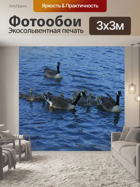 Фотообои Птицы