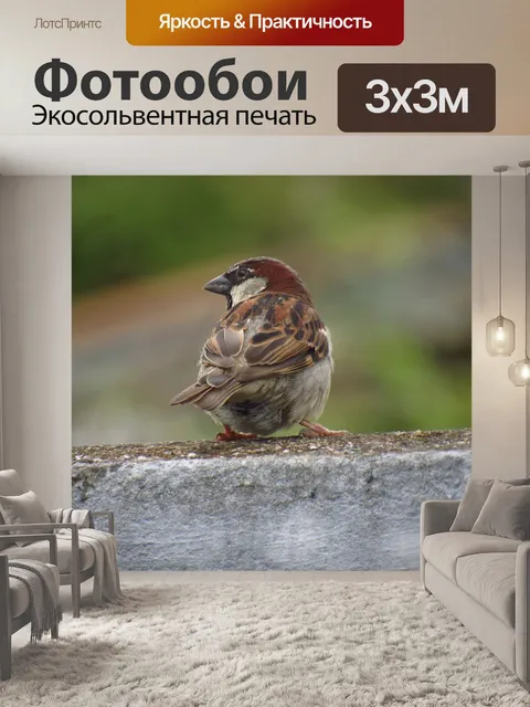 Фотообои Птица