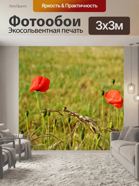 Фотообои Цветы
