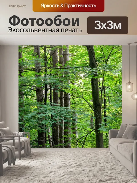 Фотообои Древостоя