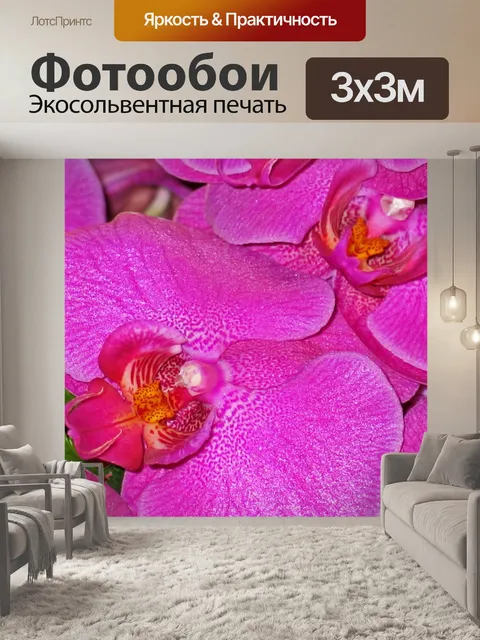Фотообои Орхидеи