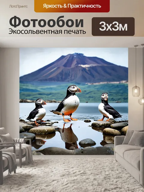 Фотообои тупик, неуверенно шагнувший по влажным камням, создаёт ощущение уязвимости и гармонии с окружающей средой