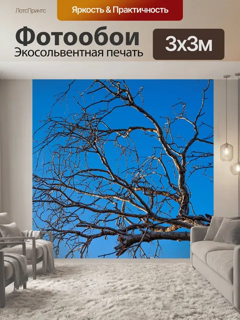 Фотообои Мертвое дерево, силуэт дерева