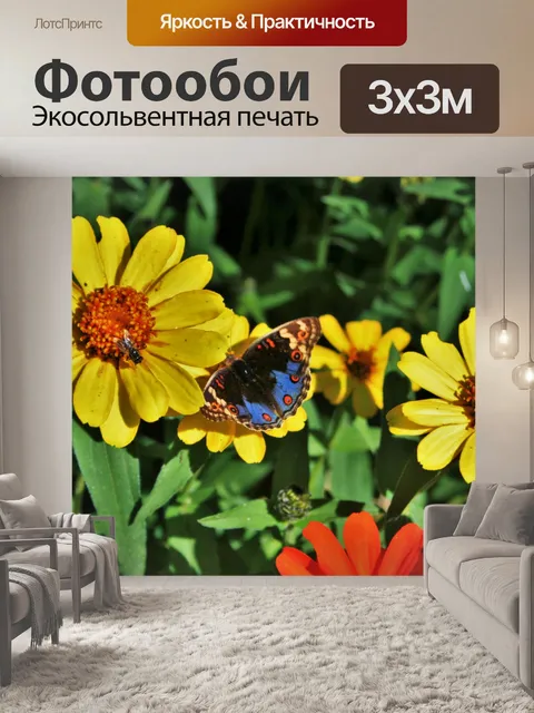 Фотообои красочные глазами анютины глазки бабочки