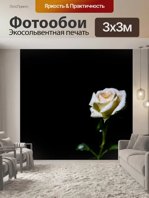 Фотообои Роза