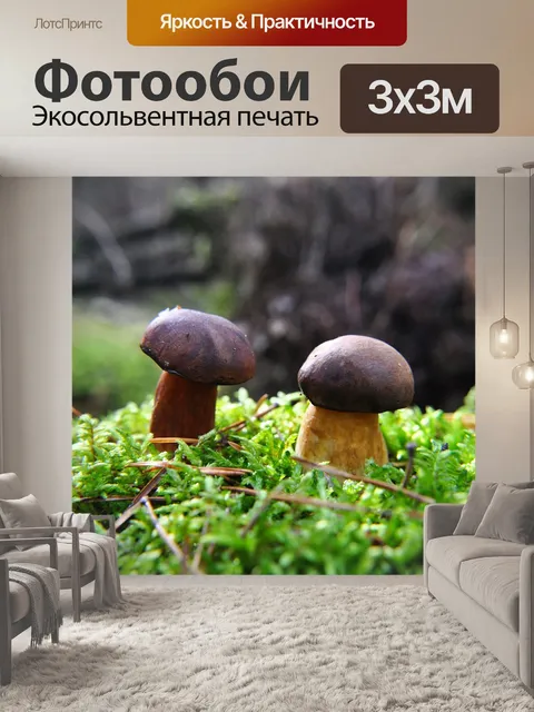 Фотообои Гриб