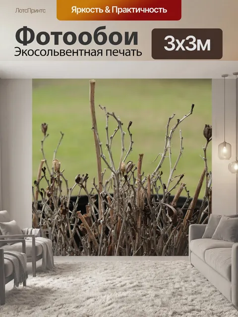 Фотообои Сухие ветки