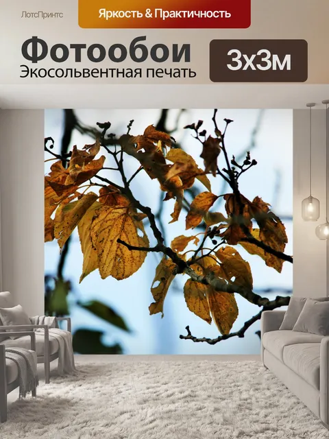 Фотообои желтые листья осени