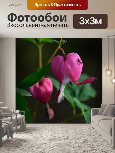 Фотообои Цветы