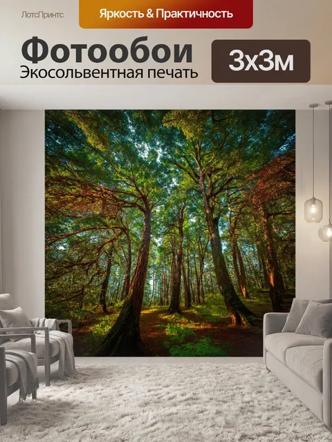 фотообои лес в стиле модернизм с представлением лесного пейзажа