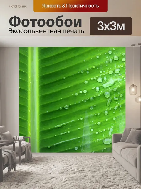 Фотообои Зеленый лист банан