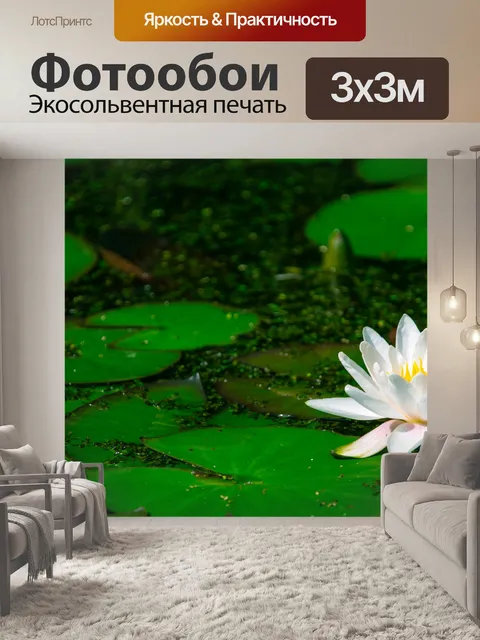 Фотообои Водяная лилия