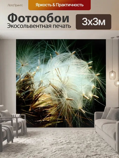 Фотообои Цветок