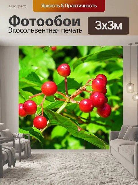 Фотообои Дерево