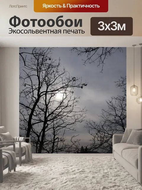 Фотообои Туман