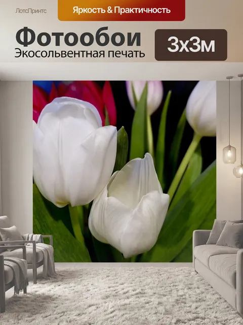 Фотообои Белые тюльпаны Макрофотография фона