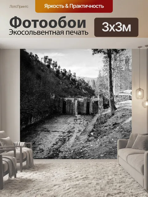 Фотообои Черное и белое