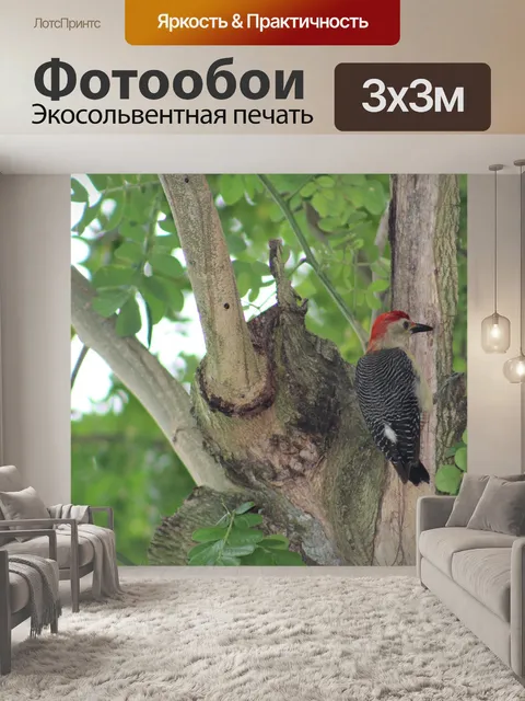 Фотообои Птица