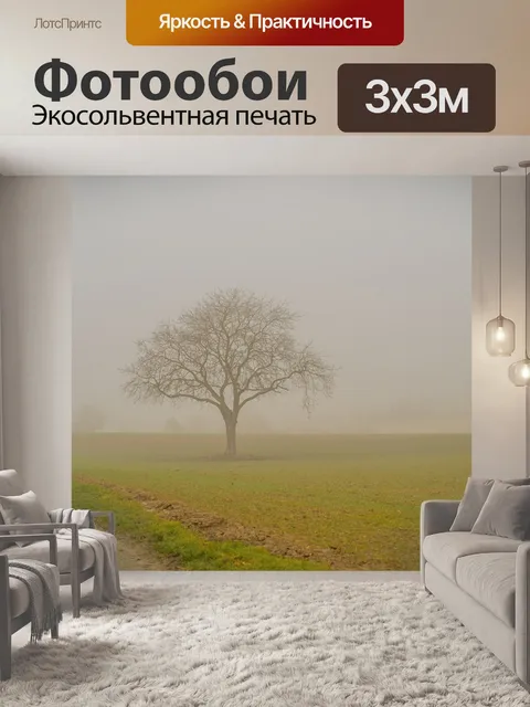 Фотообои Туман