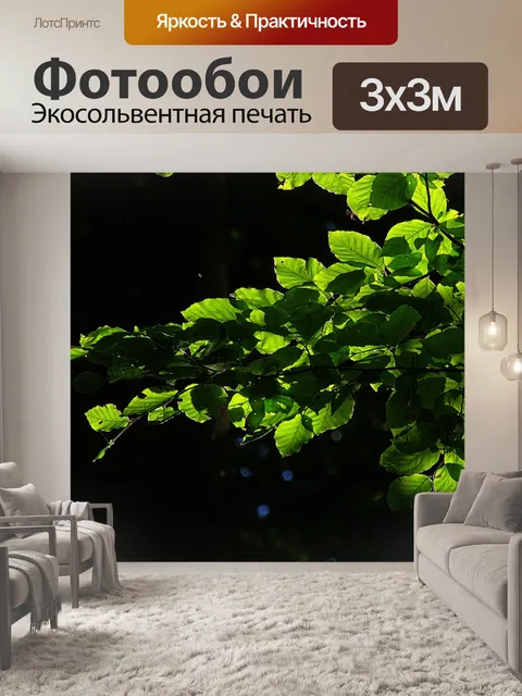 Фотообои Листья