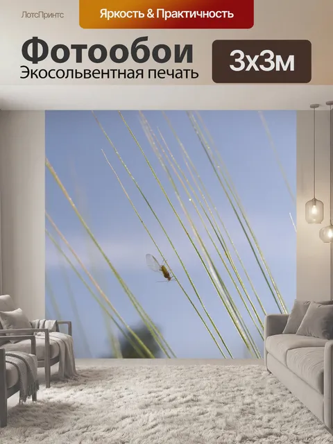 Фотообои Летать