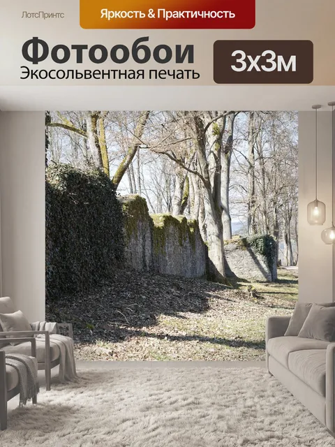 Фотообои Разорение