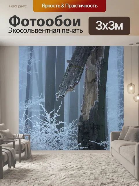 Фотообои Зима