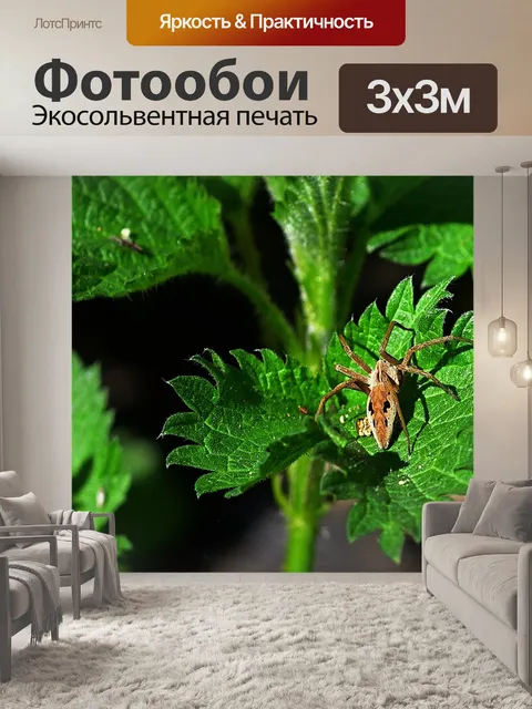Фотообои Лес