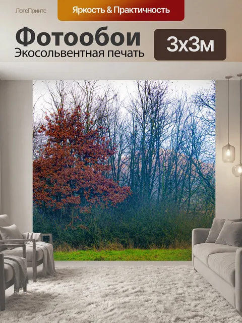 Фотообои Лес