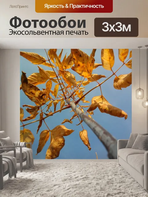 Фотообои Дерево
