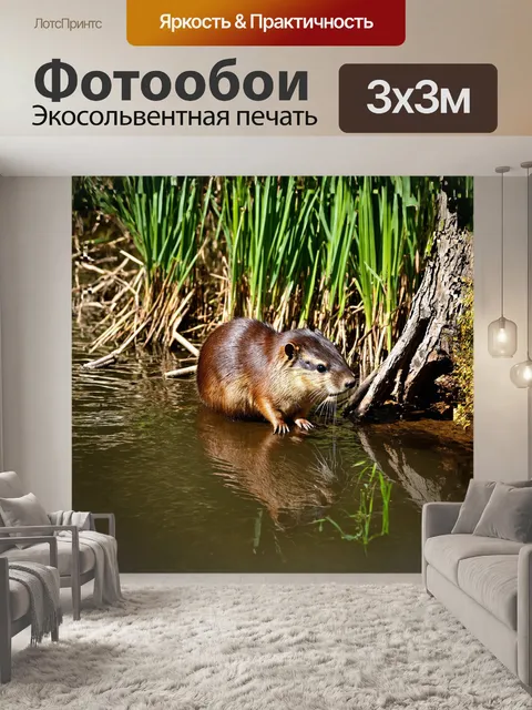 Фотообои нутрия мирно пасется на берегу реки, ее мягкая шерсть сверкает на солнце, отражая зеленые оттенки воды