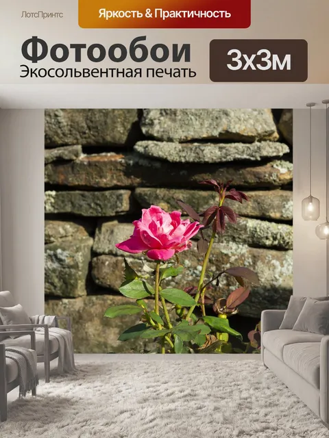 Фотообои Роза