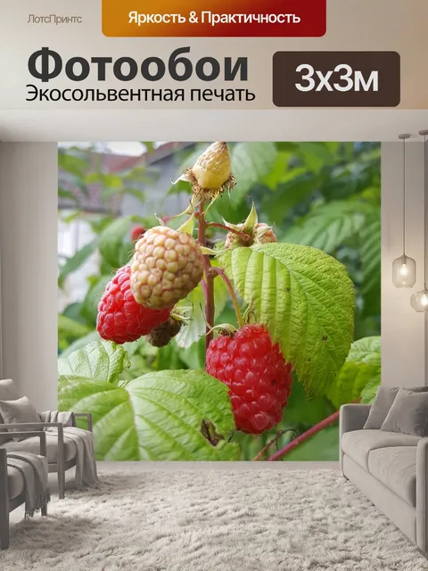 Фотообои Фрукты