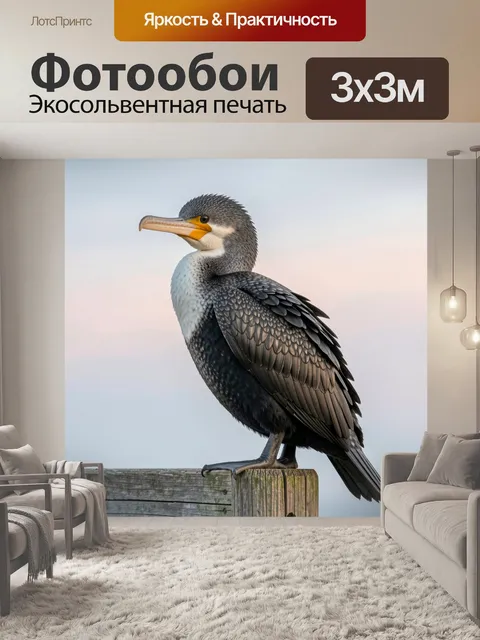 Фотообои Чёрный баклан на деревянной опоре