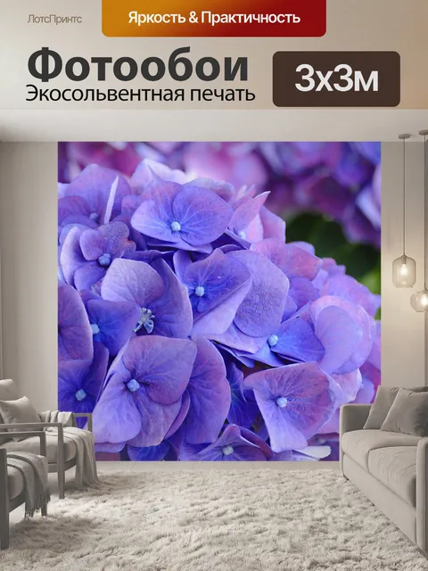Фотообои Цветы гортензии синие лепестки