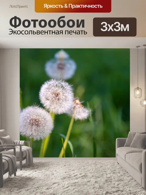 Фотообои Одуванчики