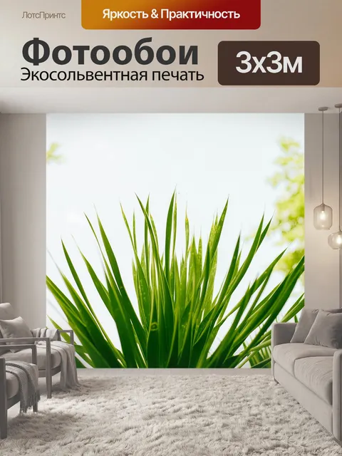 Фотообои Небо