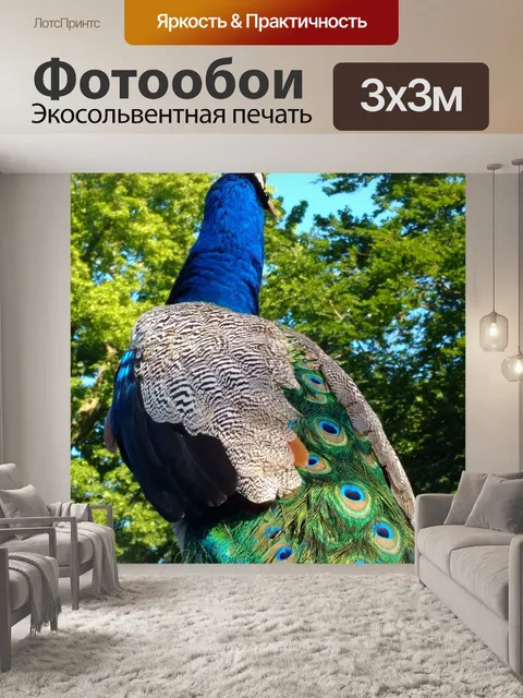 Фотообои Павлин
