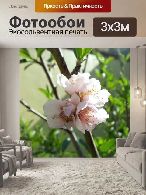 Фотообои Цветок