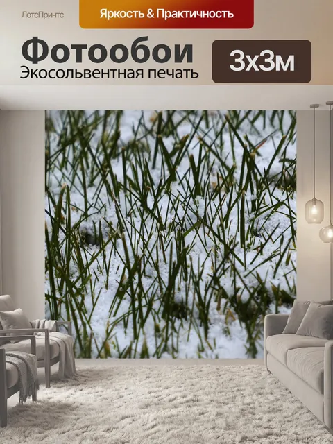 Фотообои Снег покрывает трава