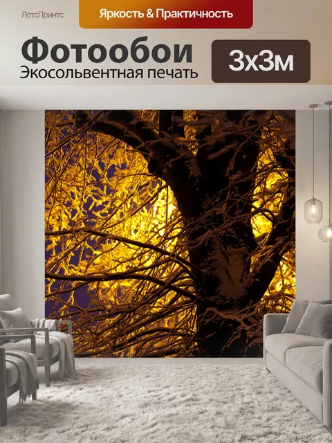 Фотообои заснеженные ветви ночью