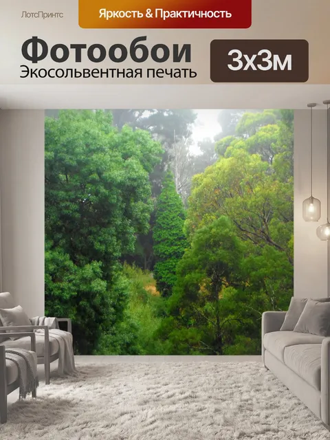Фотообои Деревья в долине