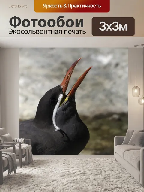 Фотообои Птицы